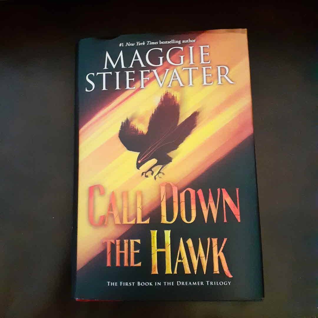 At the Hawk\\'s Well, focuses on him and his brothers, declan and matthew, as well as