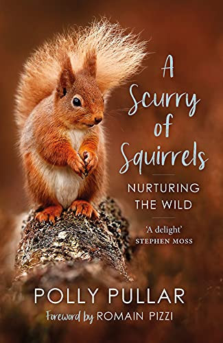 a Scurry of Squirrels