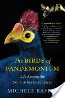 The Birds of Pandemonium