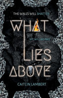 What Lies Above