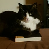 BookBelle84