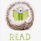 LiteraryHedgehog